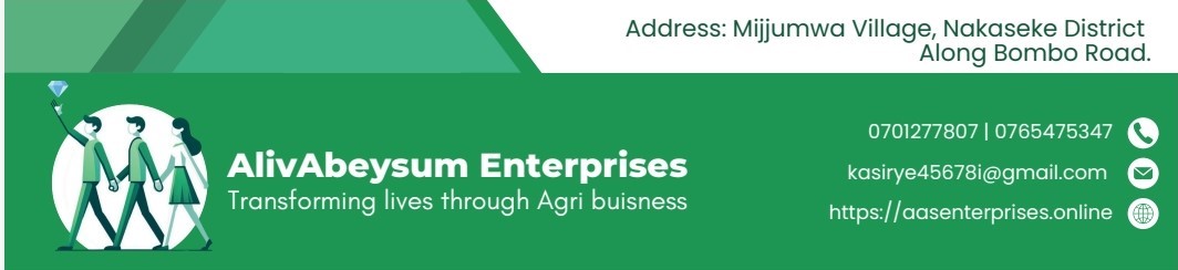 AlivAbeysum Enterprises image